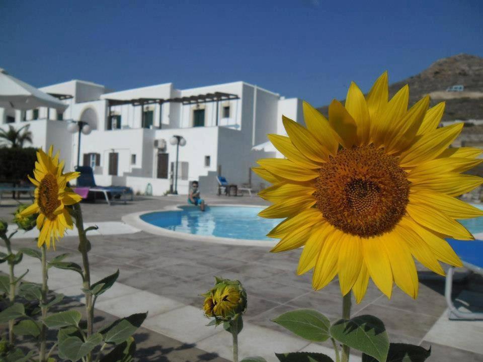 Delight Apartmán